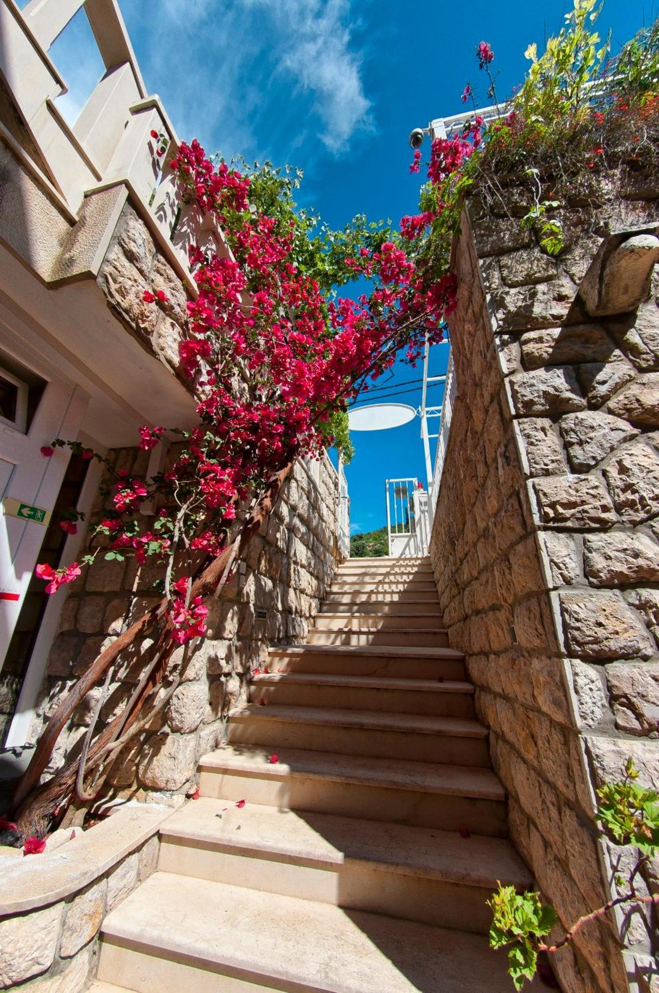 Villa Ana 2 Zaton  Exterior photo
